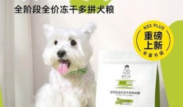 诚实一口狗粮爆料视频下载,诚实一口视频下载背后的真实故事